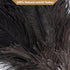 Ostrich Feather Duster, 16 inch Black Genuine Ostrich Feathers with Wood Handle, Reusable Car Dusters, Eco-Friendly Cleaning Handheld Dusters for ...