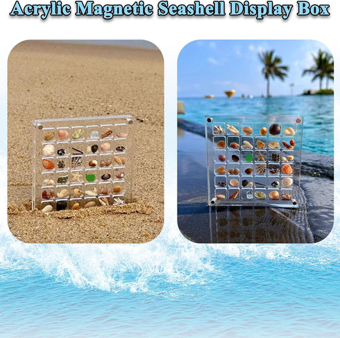 Acrylic Magnetic Seashell Display Box- Seashell Storage Box Display Case- Small Craft Organizers Container for Bead, Nail, Jewelry, Square, Seashe...
