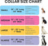 Dog Collars for Small Medium & Large Dogs - Female and Male dogs Patterns on Long Lasting, Adjustable, Strong and Durable Collars for Dogs Stockin...