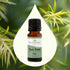 Plant Therapy Tea Tree Essential Oil 100% Pure, Undiluted, Natural Aromatherapy, Therapeutic Grade 10 mL (1/3 oz)...