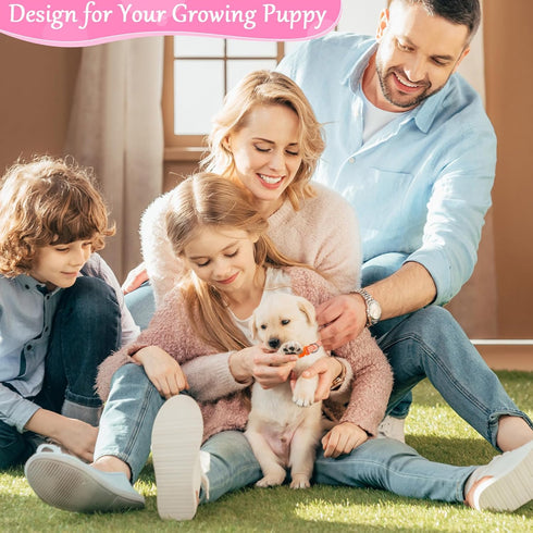 14pcs Puppy Collars for Litter Adjustable Whelping Puppy Collars Soft Nylon Whelping Collars Puppy Id Collars for Puppy Small Dogs(Small)...