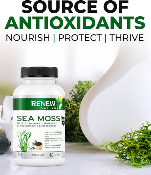 Renew Actives Sea Moss Capsules - Premium Triple-Action Antioxidant Blend with BioPerine for Ultimate Absorption - Organic Irish Sea Moss, Bladder...
