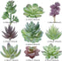 Artificial Succulent Plants - 18 Pack - Premium Fake Plants - Double Flocked Succulents - Realistic Textured Cactus - Face Succulent Plants - Mini...