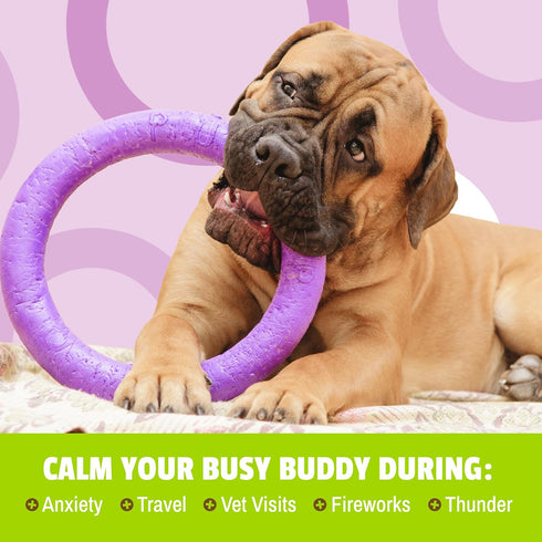 Pet Naturals BusyButter Extra Strength Calming Peanut Butter with Melatonin for Dogs - Great for Treats, Lick Mats, Training, Calming, and Enrichm...