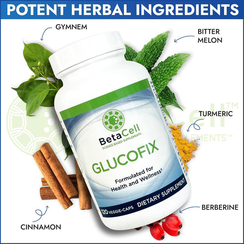 Glucofix - Berberine Supplement - Herbal Supplement with Cinnamon, Gymnema, Berberine, Bitter Melon, and Turmeric - 120 Capsules...