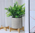 Small Wooden Plant Stand, Decorative Succulents Plant Pot Holder, 7", 2 Pack...