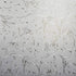 Niviy Window Privacy Film Wheat Flower Frosted Windows Glass Film No Glue Door Window Covering for Office and Home Decoration,23.6 inches by 78.7 ...