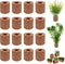 Rainmae 16 Pcs Aquatic Water Plant Fixed Rings, Water Plants Cultivation Fixed Ring Aquatic Water Plant Fixed Ring Ceramic Plant Pot, Landscape Ce...
