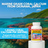 1500mg, 90 Capsules- Coral Calcium Supplement Developed by Bob Barefoot- Supports Overall Health & PH Levels- Contains Calcium, Magnesium & Vitami...