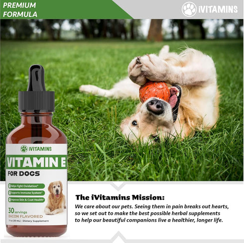 Vitamin E for Dogs | Vitamin E Dog | Vitamin E for Dog | Dog Vitamins E | Vitamin E Canine | Vitamin E Supplement for Dogs | Vitamin E Oil Dog | D...