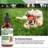 Vitamin E for Dogs | Vitamin E Dog | Vitamin E for Dog | Dog Vitamins E | Vitamin E Canine | Vitamin E Supplement for Dogs | Vitamin E Oil Dog | D...