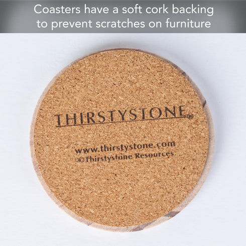 Thirstystone Cinnabar Brand, Multicolor All Natural Sandstone-Durable Stone with Varying Patterns, Every Coaster Is An Original, 4 inch round...