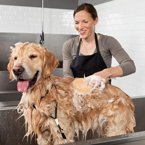 Dog Bath Brush Pet Shampoo Handle Bath Brush with Massage Points Dog Grooming/Washing/Massaging Wooden Brush Natural Bristle Dog Brush Removal Loo...