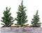 Winlyn 3 Pack Mini Canadian Pine Trees with Wood Bases Artificial Miniature Christmas Trees and Rustic Planter for Holiday Season Tabletop Decorat...