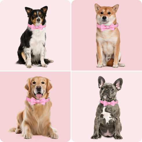 Cute Dog Collar with Bow for Small Medium Large Dogs, Bling Medium Dog Bow Tie Collar with Durable Metal Buckle, Easy Adjustable for Dogs Walking ...