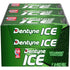 Dentyne Ice Spearmint Sugar-Free Chewing Gum, 9 Packs of 16 Pieces (144 Total Pieces)...
