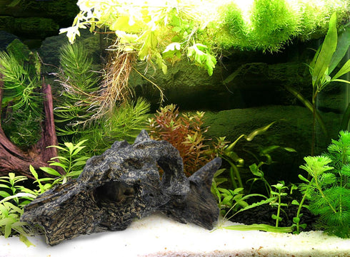 corisrx Aquarium Malaysian Driftwood Imitation Ornament Small - Tree Trunk Long Decor Fish Tank Wood (S+L Set)...