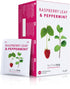 Nutra Tea - Raspberry Leaf & Peppermint Tea - Raspberry Leaf Tea For Pregnancy & Expectant Mothers - 40 Tea Bags - Herbal Tea - (2 Pack)...