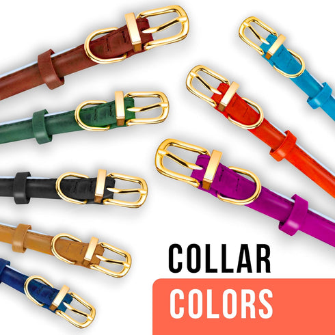 OOPSDOGGY Reflective Rolled Leather Dog Collar for Small Dogs, Adjustable Soft Padded Pet Collar for Small Breed Dogs Puppy (XS, 8"-11", Green)...