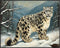 Posterizer 1 pcs-snow leopard in a wintery nature-oil painting style 3-Art for Animal Lovers-Landscape & Nature Art-Decor for Home & Office- unfra...