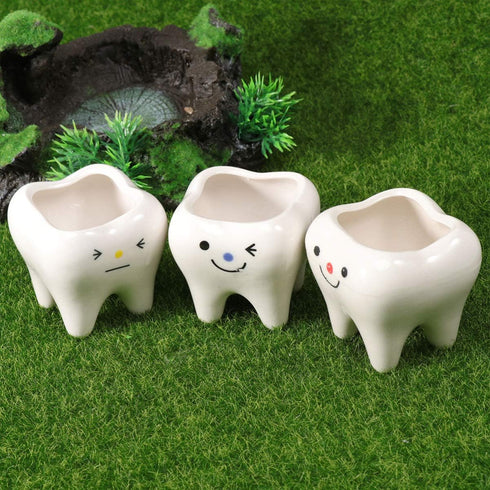Ceramic Planter Ceramic Planter 2pcs Ceramic Tooth Planter Mini Porcelain Succulents Flower Pot Cute Pen Pencil Holder for Office Home Desk Decor ...