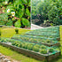 Sukh Bird Netting for Garden 13x40ft - Garden Netting Mesh Netting for Garden Protection Heavy Duty Bird Netting Garden Fence Plant Netting Chicke...