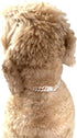 Elegant Sturdy 16 in Collar Cuban Link with Secure Buckle Pet Metal Rose Gold diamond Chain Dog Collar for Medium Large Dogs...