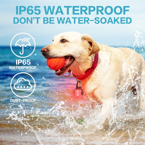 Dog Lights for Night Walking – 50LM Dog Collar Light, 3 Modes Rechargeable Dog Light, IP65 Waterproof Dog Walking Light, Dog Flashlight for Runnin...