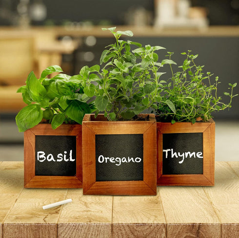 ZESTIGREENS Indoor Herb Pots for Herbs, Succulents, or Small Plants. 3 x Indoor Plant pots with Waterproof Liner Included....