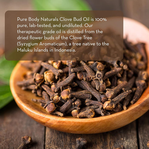 Pure Body Naturals Clove Bud Essential Oil, 10 ml - Pure and Undiluted Therapeutic Grade for Aromatherapy Diffuser and Relief...