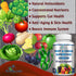 Fruit and Veggie Superfood Greens - 28 Fruits and Vegetables incl. Alfalfa, Barley Grass, Spirulina, Beet Root, Tart Cherry, Concentrated Natural ...