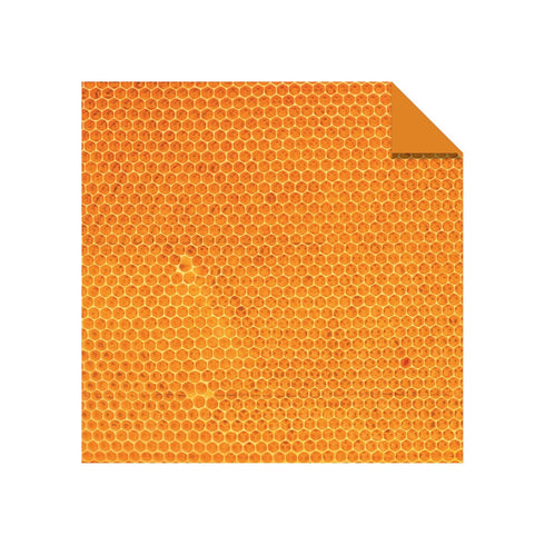 Origami Paper 200 sheets Nature Patterns 6" (15 cm): Tuttle Origami Paper: High-Quality Double Sided Origami Sheets Printed with 12 Different Desi...