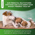 Dog Prenatal Vitamins | Pregnant Cat Supplies | Prenatal Vitamins for Dogs | Product for Pregnant Cat | Prenatal Dog Vitamins | Vitamins for Pregn...