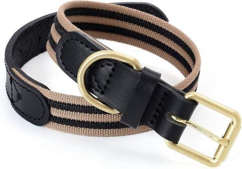 Mile High Life | Genuine Leather Dog Collar | Heavy Duty Canvas Dog Collars with Adjustable Rust-Proof Metal Pin Buckle | Boy Dog Collars for Larg...