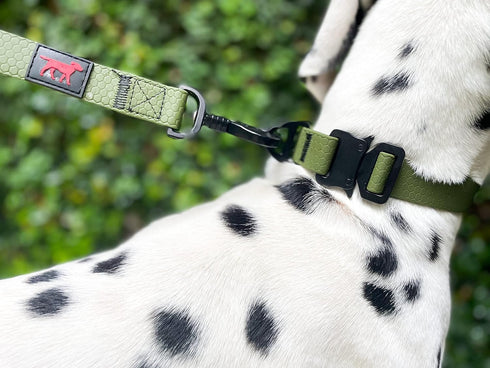 Tuff Pupper Waterproof Action Collar for Dogs | Heavy Duty Water Proof Dog Collar | Tear Proof & Odor Free | Rust-Proof Metal Hardware | Tactical ...