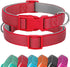 Didog Reflective Dog Collar with Buckle, Adjustable Soft Neoprene Padded Nylon Pet Collars for Small Medium Large Dogs, Red, S...