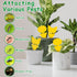 Fruit-Fly Sticky-Trap 26pc Mosquito-Repellent Insect Killer Outdoor Indoor Sticky Bug-Catcher for Wasp Mosquito Ant Gnat Fungus Gnat Roach Whitefl...
