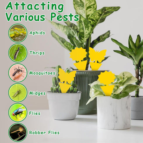 Fruit-Fly Sticky-Trap 52pc Mosquito-Repellent Insect Killer Outdoor Indoor Sticky Bug-Catcher for Wasp Mosquito Ant Gnat Fungus Gnat Roach Whitefl...