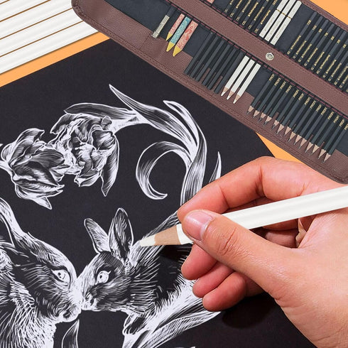 31 Drawing Sketching Pencils Kit, Portable Artist Supples Travel Case Set has Graphite, Charcoal, white color pencil, Blending Stump, gift for Adu...
