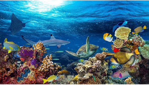 Aquarium Background Underwater Coral Reef Landscape Terrarium Background Deep Blue Ocean with Colorful Fish and Marine Life Sunlight Ray Aquarium ...