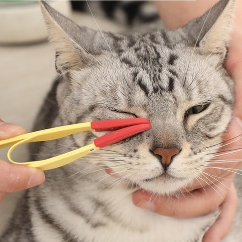 3PCS Pet Tear Marks Brush, Pet Tear Marks Brush Cat Dog Eye Excrement Brush, Soft Washable Pet Combing Brush with Handle, Tear Comb Tear Stain Rem...