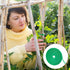 Plant Ties Reusable Garden Tape Adjustable Plant Support for Effective Growing Nylon Plant Tie Strap for Flowers, Tomato, Vines, Tree (75 Feet x 0...