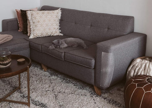 The ORIGINAL LAMINET Deluxe Cat Scratch Shields - Protect your furniture with our deluxe heavy duty Furniture Scratch Shields - Set of 4 Heavy Dut...