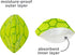 Neat Solutions Tee N Toss Turtle, Multi, One Size, 20 Count, 0+ Months...