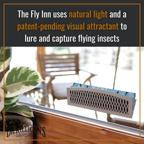 Dr. Killigan's The Fly Inn | Window Fly Traps | Sticky Fly Strip | Indoor Insect Trap | Catches and Hides Bugs | Better Than Fly Paper or Ribbon |...