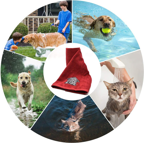 DAN RIVER Dog Towels for Drying Dogs Large, 100% Cotton Puppy Bath Towel, Ultra Soft 450 GSM Super Absorbent Quick Dry Pet Grooming Supplies, 20x4...