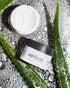 Exfoliating Facial Scrub for Men by Apricus Skincare | Dead Skin and Blackhead Remover Cream | Men's Exfoliating Face Wash and Blackhead Scrub | P...