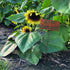 Island Genius Grow Dammit Funny Garden Décor Sign Gardening Gifts for Women and Men Who Love Plants, Alloy Steel...