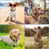 Adjustable Dog Collar with Airtag Holder: Durable Dog Collars, Soft Rubber Coated Webbing, Waterproof and Easy to Clean, for Small Medium Large Do...