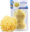 Baby Buddy Natural Wool Sea Sponge, Newborn Bath Time Essential, Ultra Soft for Delicate Skin, Hypoallergenic and Biodegradable, 2 Pack...